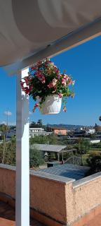 F.A.M. ROOMS - Ciampino - 2