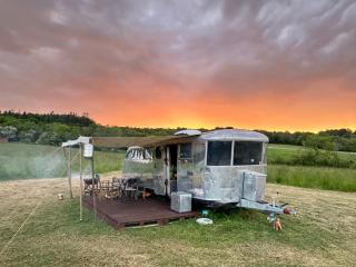 Jurassic Airstreams at Hartridge Springs Glamping - Luppitt - 1