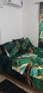 Entire 3 bedroom house in St Thomas, Jamaica - 9