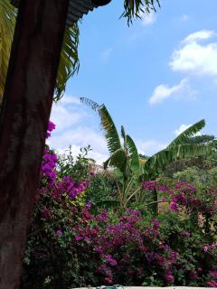 Desmonte House - San Mateo - 1