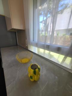 Peonia Villa ValaMar - 1