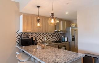 Modern Ground Level Condo, 2 bedrooms, Direct pool access - Palm-Eagle Beach - 6