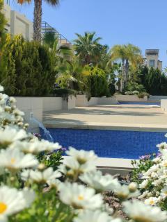 Modern pool home LZ - Orihuela Costa - 6