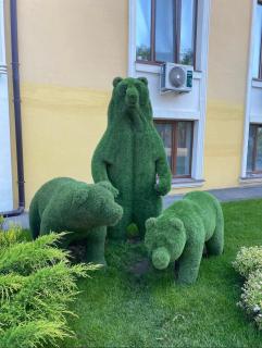 Apartament Dacha Kovalevskogo 121 - 7