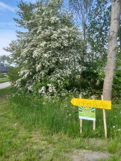 Retro caravan het Uiltje nabij het Sneekermeer - 4