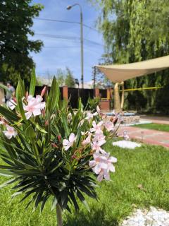 Friendly House - 1