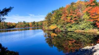 The Modern Escape - Hottub 3min To Pool & Lake - Long Pond - 3