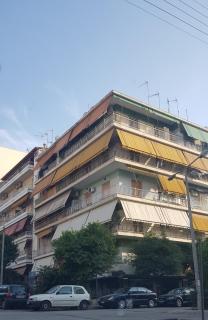 LOYA's - Atenas - 5