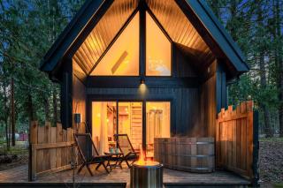 Kodiak Cabin | Hot tub, EV, AC - Packwood - 0