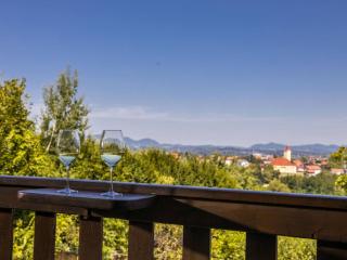 Holiday Home MILa - Duplex one bedroom Holiday Home with Terrace - Stubicke Toplice - 3
