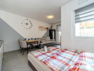 Apartments Robi & Kristina - Studio Apartment with Terrace S2 - Benkovac - 6