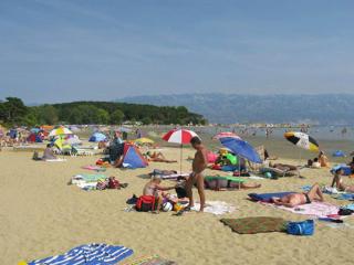 Apartments Zora - Standard One Bedroom Apartment with Balcony A1 - Lopar - 1