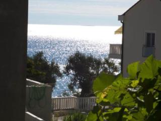 Beachfront Apartments Pla a - Two Bedroom Apartment A4 - Ivan Dolac - 1