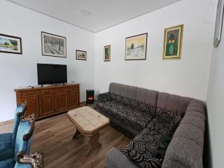 Apartment Gracac - Two Bedroom Apartment with Terrace - Gračac - 4
