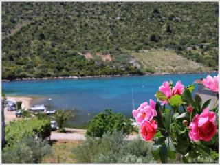 Apartments Juras - Studio Apartment with Sea View Mia - Rogoznica (Rogosnizza) - 1