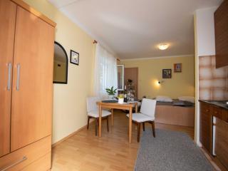 Elegant Opatija Apartments with Terrace - Studio Apartment with Terrace - Opatija - 9
