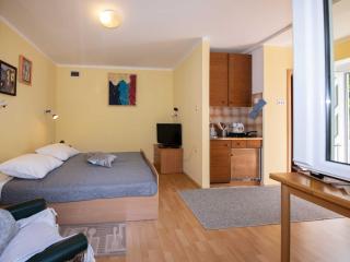 Elegant Opatija Apartments with Terrace - Studio Apartment with Terrace - Opatija - 3