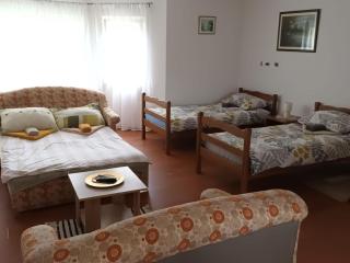 Apartmani Tea i Toni - Apartment Toni - Gradište - 8