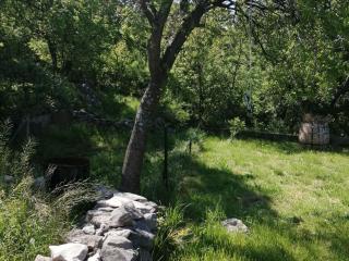 One Bedroom Apartment with Terrace - Starigrad - 2