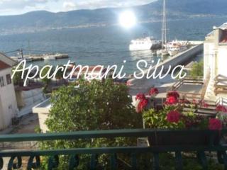 Apartments Silva - One Bedroom Apartment with Balcony and Sea View - Slatine - 4