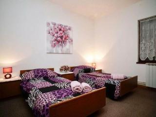 Three Bedroom Apartment with Terrace - Seget Vranjica - 5