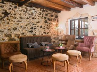 Vila Nira Radoni - Radonić - 9