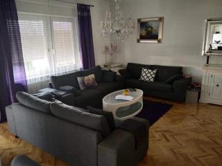 Holiday Home Dugo Selo M&A - Five Bedroom Holiday Home with Terrace - Zagreb - 0