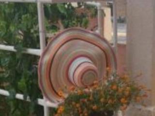 Apartmani Lucija - Studio Apartment - Trogir - 5