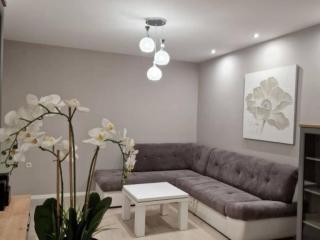 Pansion Belvedere - One Bedroom Apartment with Terrace Magnolia - Mali Lošinj - 9