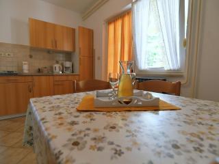 Scenic Retreat Rooms and Family Apartments - One Bedroom Apartment with Terrace - Mošćenička Draga - 9