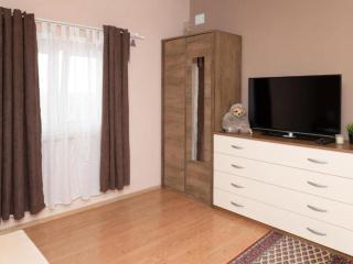 Five Bedroom Villa With Pool - Bogatić - 8