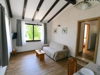 Charming Holiday Home with Terrace and Garden - One Bedroom Holiday Home - Mošćenička Draga - 8