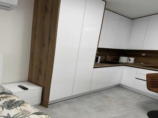 Luxury Apartments Villa Aspira - Studio Apartment with Terrace - 9