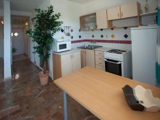 Wonderful Visinisce Apartments with Terrace and Sea Views - Standard Three Bedroom Apartment - Vinišće - 5