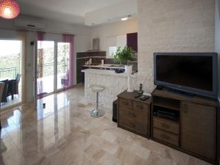 Wonderful Visinisce Apartments with Terrace and Sea Views - Standard Two Bedroom Apartment - Vinišće - 0