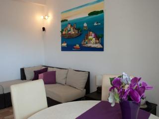 Wonderful Visinisce Apartments with Terrace and Sea Views - Standard Two Bedroom Apartment - Vinišće - 9