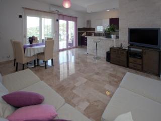 Wonderful Visinisce Apartments with Terrace and Sea Views - Standard Two Bedroom Apartment - Vinišće - 3