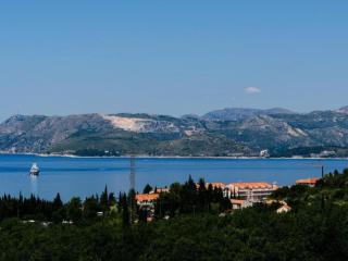Apartments Villa Lukas - Antonija Apartment 14 - Cavtat - 3