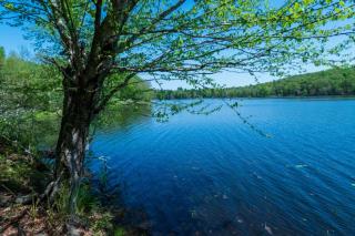Lakefront Kenoza Cottage - Callicoon - 1