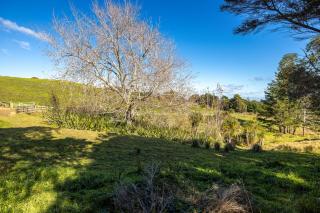 Viletta Hauraki by Waiheke Pure - - 1