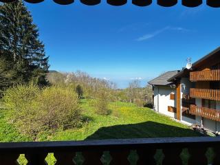 Appartement spacieux proche pistes avec parking privé - FR-1-498-116 - Thollon - 0