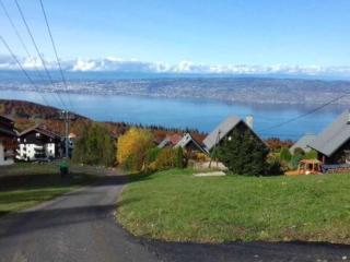 Appartement spacieux proche pistes avec parking privé - FR-1-498-116 - Thollon - 2