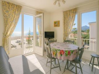 Appartement T2 avec Climatisation à Argelès-sur-Mer - FR-1-732-96 - Argelès-sur-Mer - 2