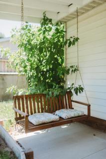 Serene Studio Country Apartment in Sawyer MI Near Lake MI and Downtown - Harbert - 5