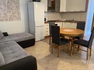 Apartments J&M 2 - One Bedroom Apartment with Terrace - Rogoznica (Rogosnizza) - 7