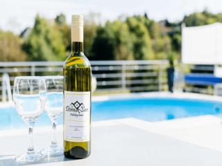 Holiday Home Dom & San - Two Bedroom Holiday Home with Swimming pool - Varaždin - 7
