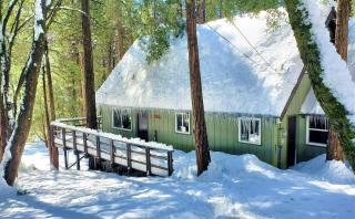 Trout River Cabin - Cozy Quiet Peaceful Retreat - 8