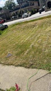Surrey Central Guest House - Surrey - 5