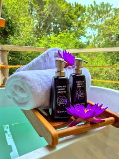 Wilpattu Safari Resort - Nochchiyagama - 1