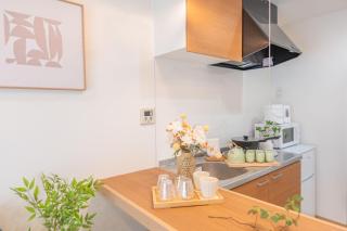 Shin Okubo five minutes, brand new mansion, Kabukicho walk - Tokyo - 3